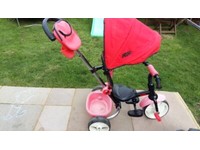 tiger smart trike